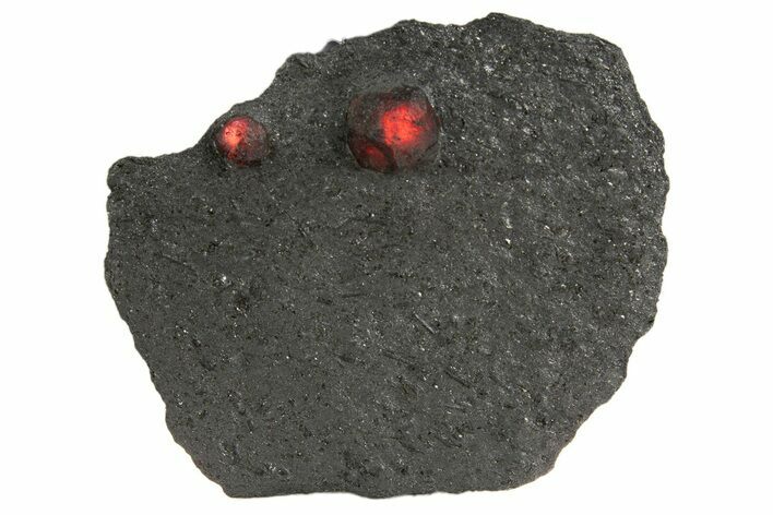 Plate of Two Red Embers Garnets in Graphite - Massachusetts #313423